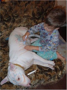 pitbul_i_deti