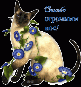 Спасибо!