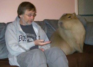 Домашняя капибара